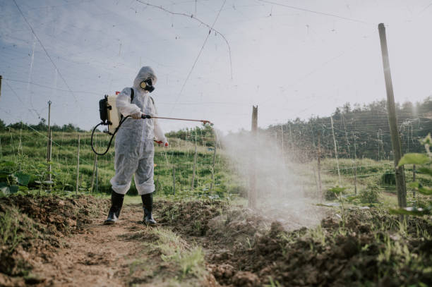 Best Pest Removal Services  in Laurens, IA