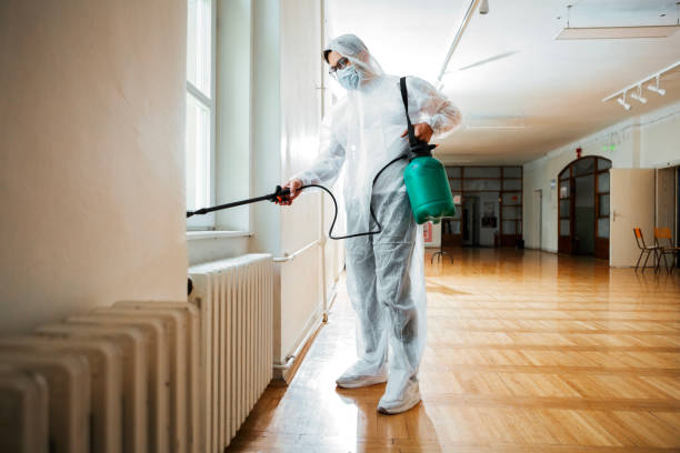 Best Affordable Pest Control Services  in Laurens, IA