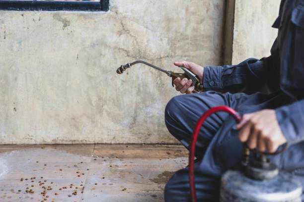 Best Pest Control for Businesses  in Laurens, IA