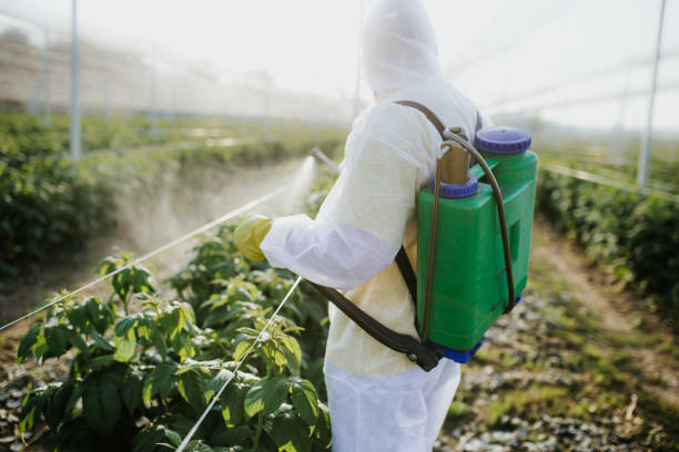 Best Affordable Pest Control Services  in Laurens, IA